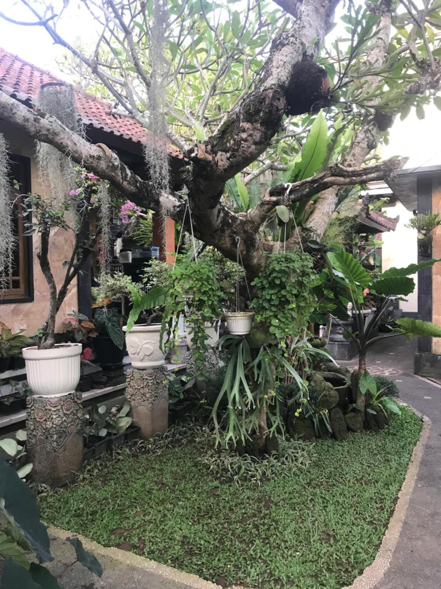 Gus Arditya Homestay Ubud Exteriér fotografie
