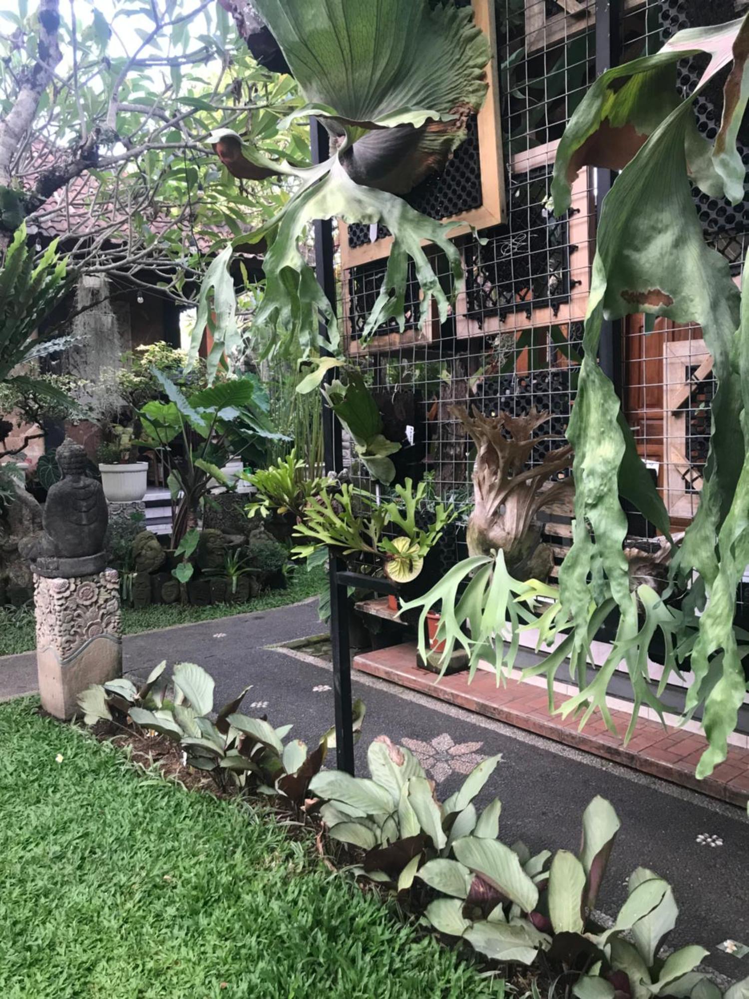 Gus Arditya Homestay Ubud Exteriér fotografie