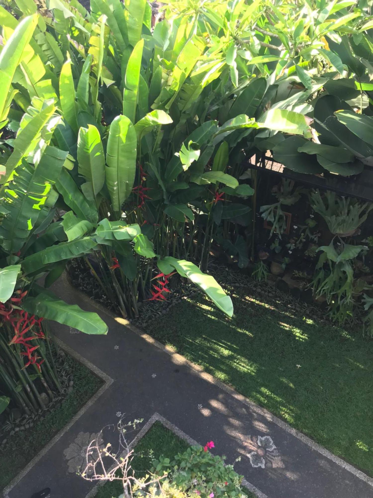 Gus Arditya Homestay Ubud Exteriér fotografie