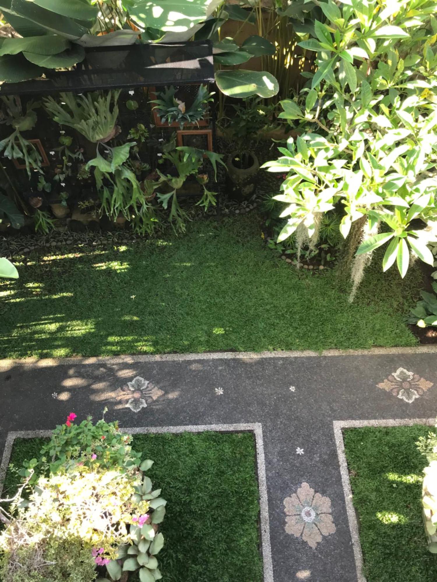 Gus Arditya Homestay Ubud Exteriér fotografie