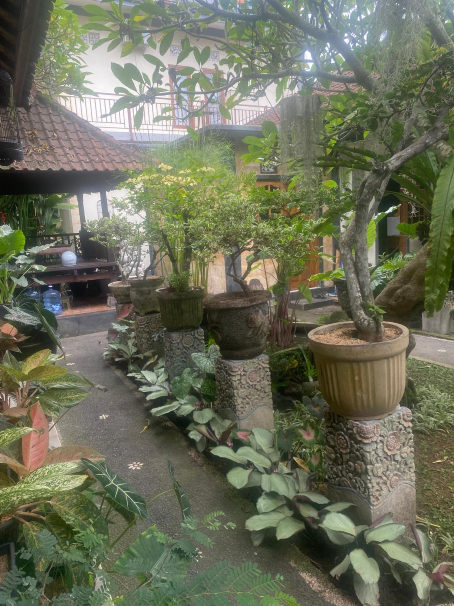 Gus Arditya Homestay Ubud Exteriér fotografie