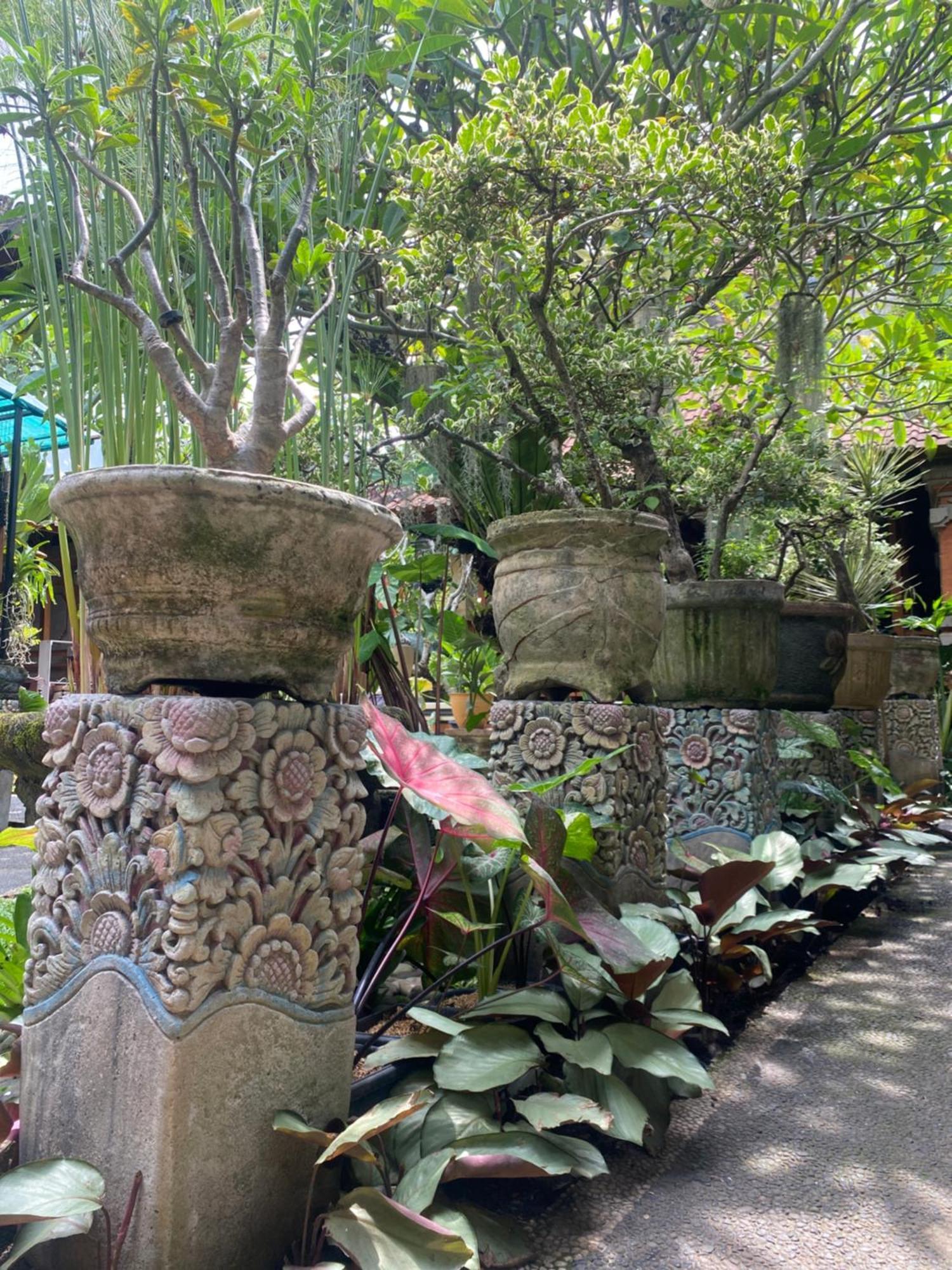 Gus Arditya Homestay Ubud Exteriér fotografie