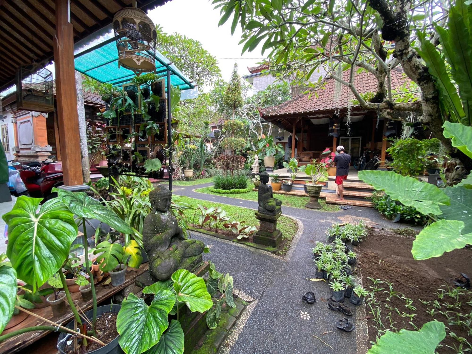 Gus Arditya Homestay Ubud Exteriér fotografie