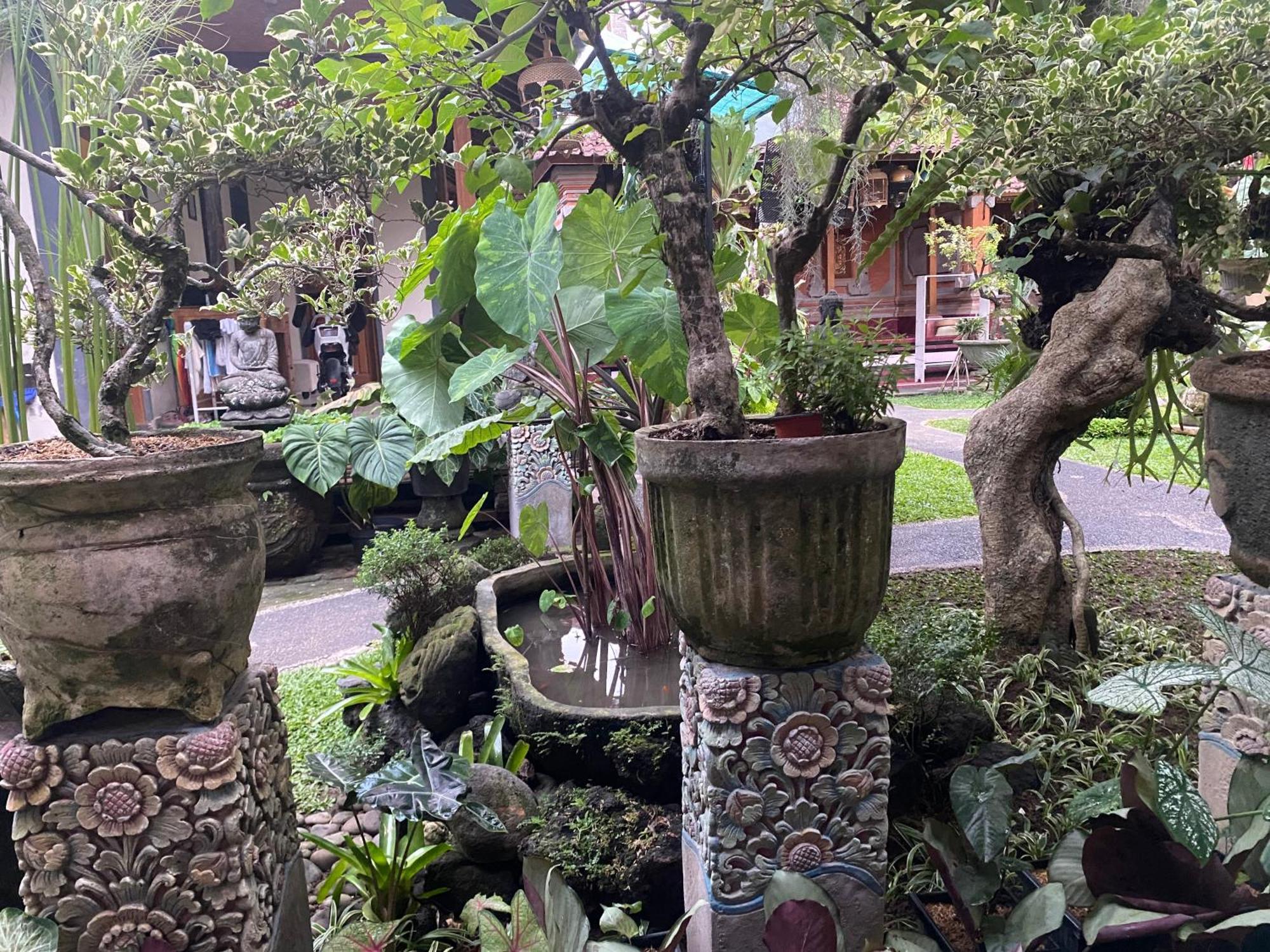 Gus Arditya Homestay Ubud Exteriér fotografie