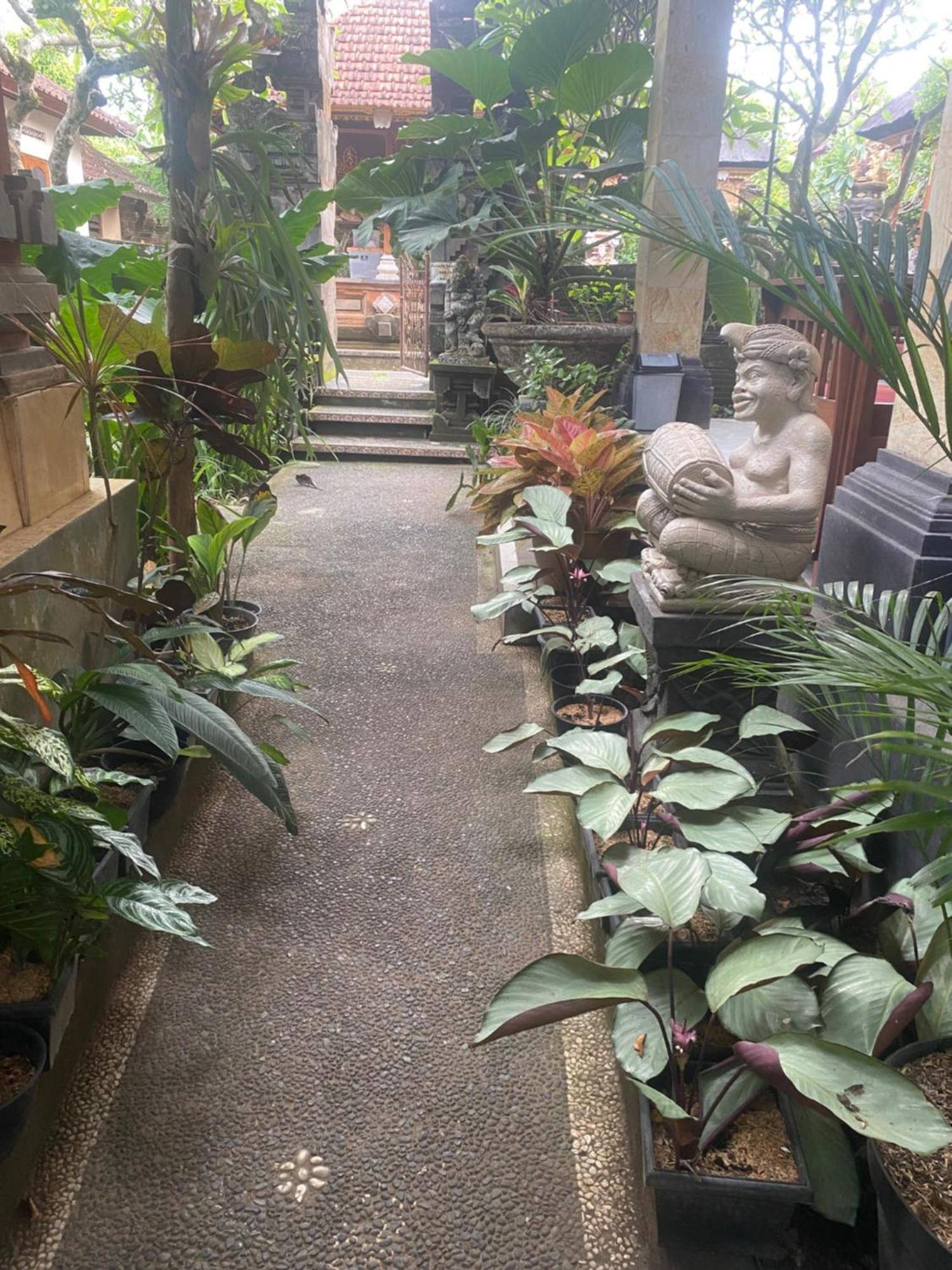 Gus Arditya Homestay Ubud Exteriér fotografie